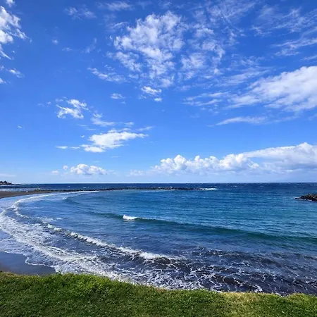 Cerca De La Playa Y Jardin Apartament Playa de las Americas (Tenerife)