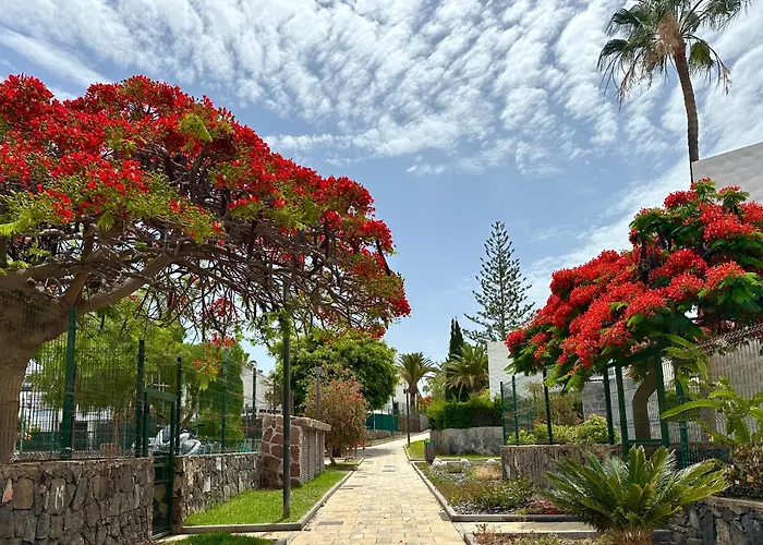 Cerca De La Playa Y Jardin Apartament *